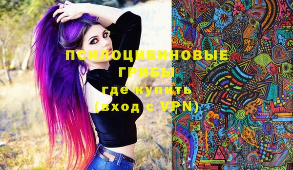PSILOCYBIN Михайлов