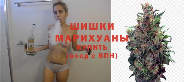 PSILOCYBIN Михайлов