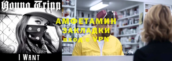 индика Медвежьегорск