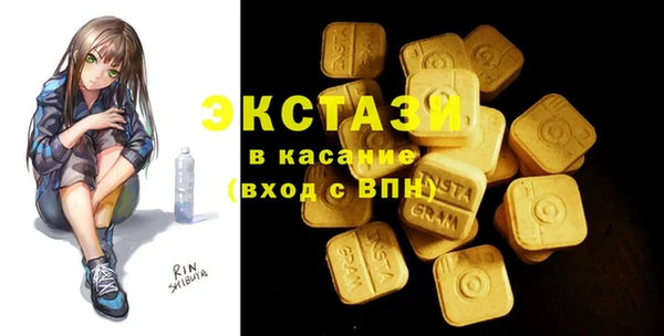 индика Медвежьегорск