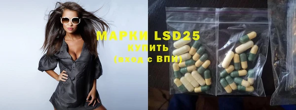 PSILOCYBIN Михайлов