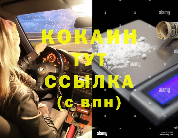 индика Медвежьегорск