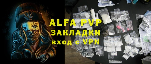 амф Бородино