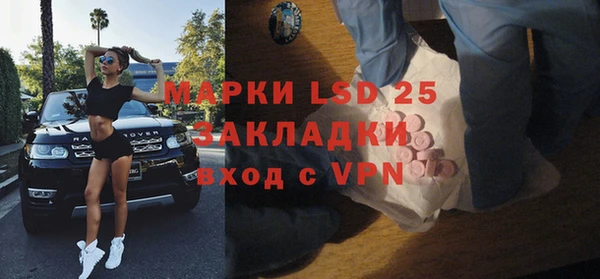 PSILOCYBIN Михайлов