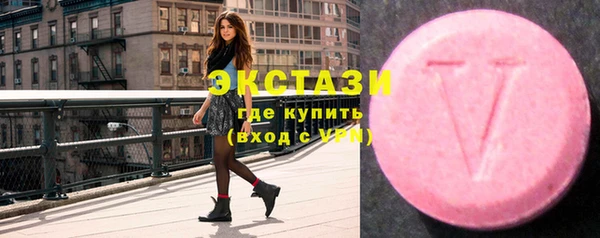 индика Медвежьегорск