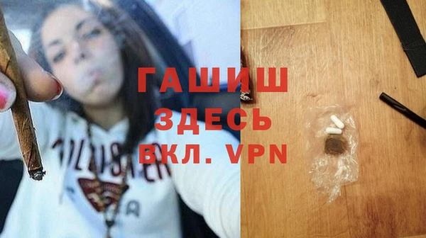 PSILOCYBIN Михайлов