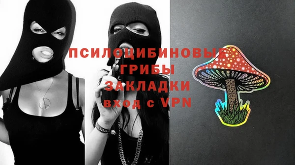PSILOCYBIN Михайлов