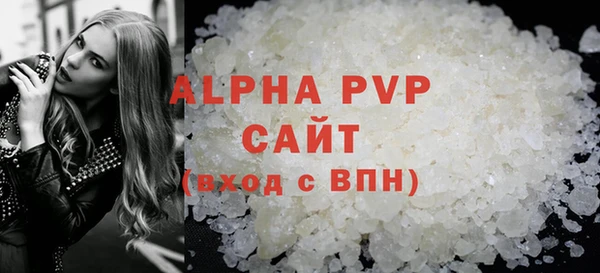 индика Медвежьегорск