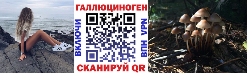 blacksprut ТОР  Дмитриев  Галлюциногенные грибы Magic Shrooms 